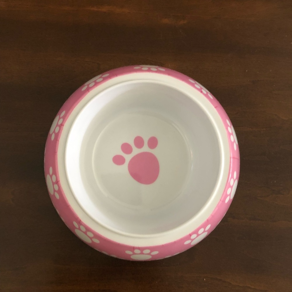 2/$20 Petrageous Pink Pet Bowl